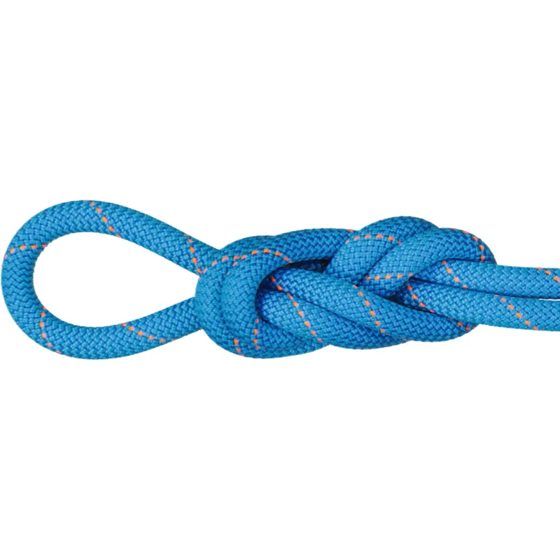 Mammut 9.9 Gym Workhorse Dry Rope - Einfachseil Solange Der Vorrat Reicht
