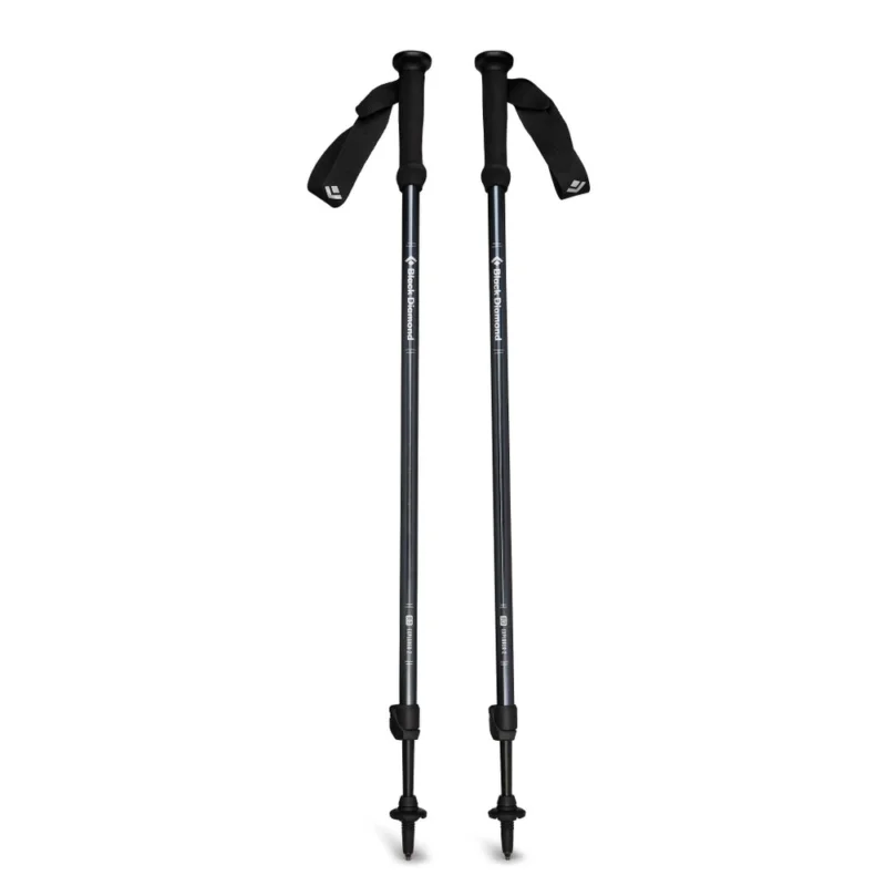 Black Diamond Explorer 2 Trekking Poles - Tourenstock (Paar) Preiswert