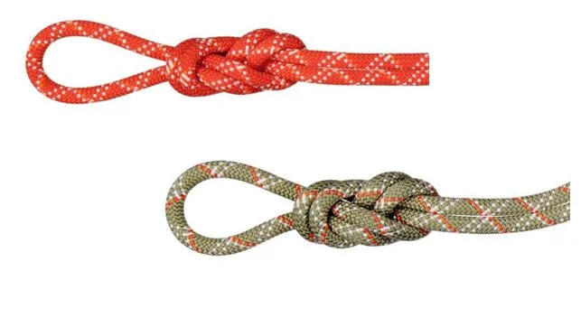 Mammut 9.5 Gym Classic Rope - Kletterseil Jetzt Bestellen