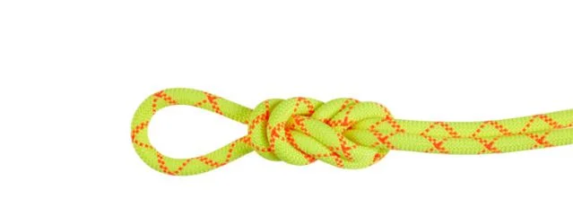 Mammut 9.5 Alpine Core Protect Dry Rope - Kletterseil Finale Aktion