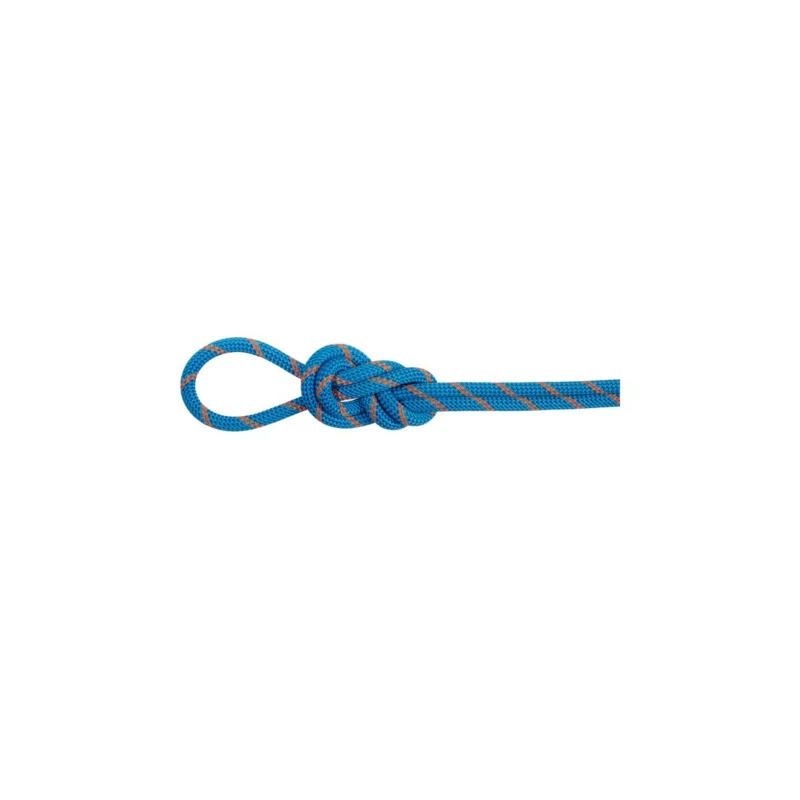 Rabatt Mammut 8.0 Alpine Dry Rope - 8 mm Halb- und Zwillingsseil für Bergsteigen und Klettern