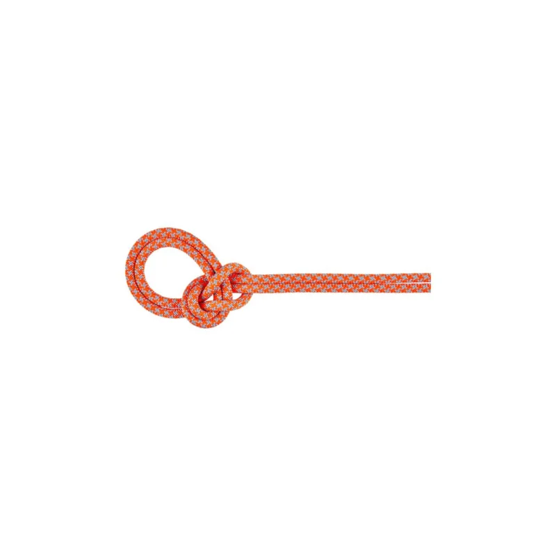 Sonderangebot Mammut 8.7 Crag Sender Dry Rope - leichtes 8,7 mm Einfachseil für ambitionierte Kletterer