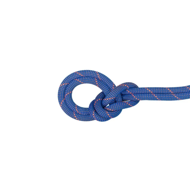 Mammut 9.0 Crag Sender Dry Rope - ultraleichtes, dreifach zertifiziertes Kletterseil Super-Preis