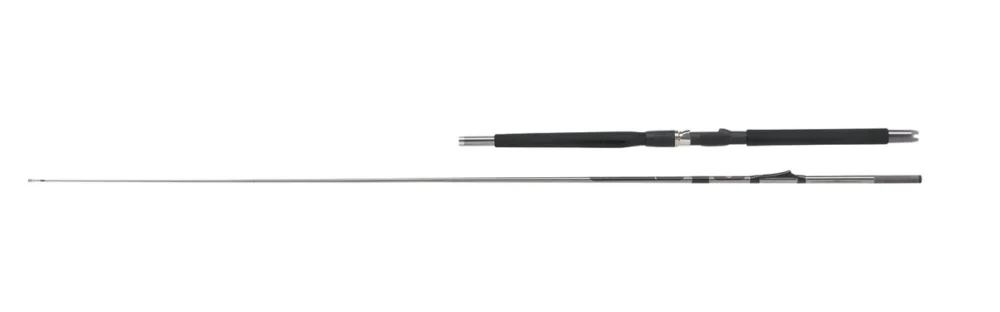 WFT Prion Inline 8" / 2,40m / 300-600g Bootsrute 2-teilig Meeresrute Geprüft