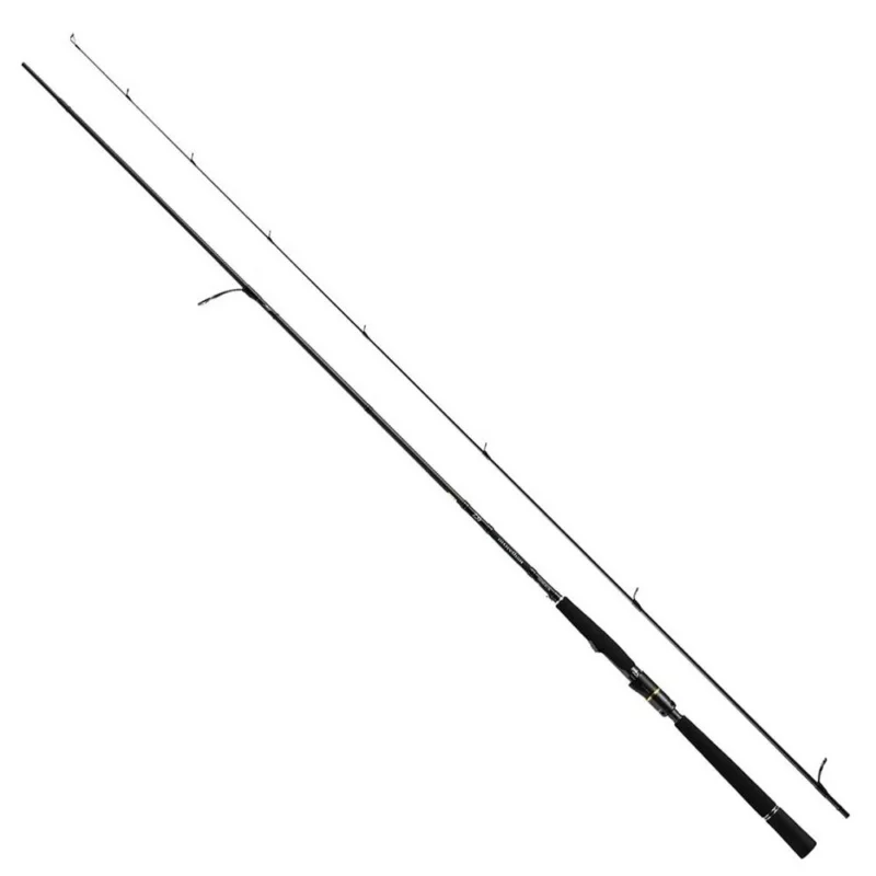 Daiwa Morethan Wisemen AGS 90L 2,74m 5-24g Zertifiziert