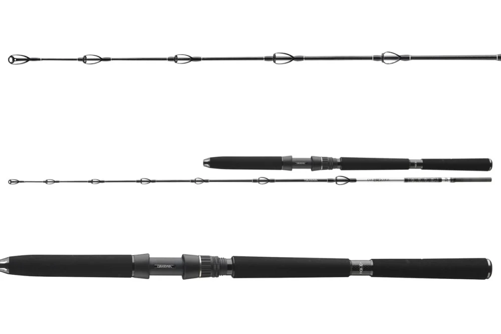 Neue Ware Daiwa BG Deep Sea 2,20m / 150-300g / 30lbs Meeresrute Bootsrute Pilkrute