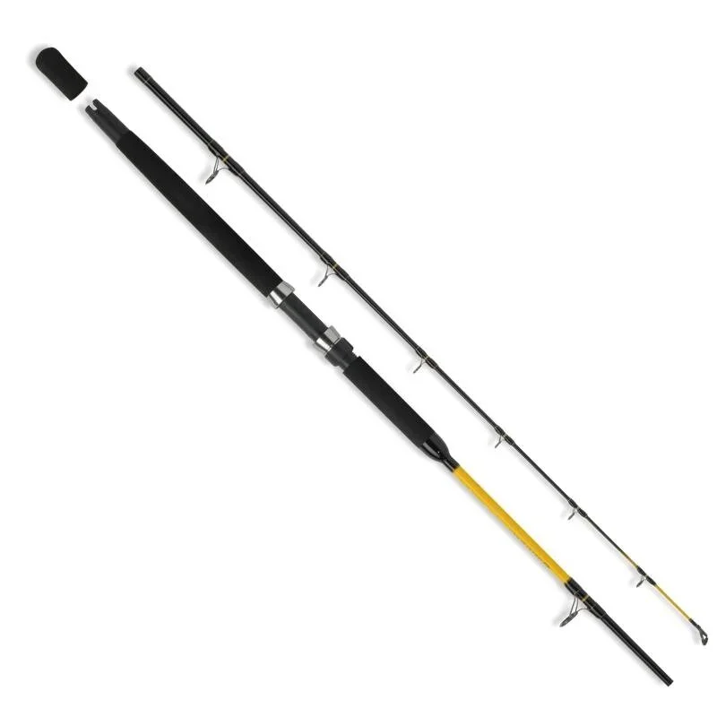 WFT Never Crack Fjordspin 2,40m / 200-600g Meeresrute Saisonangebot