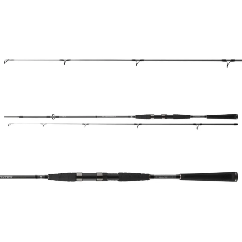 Daiwa Seahunter X Pilk Cod 2,40m 100-200g Pilkrute Dorschrute Meeresrute Zertifiziert