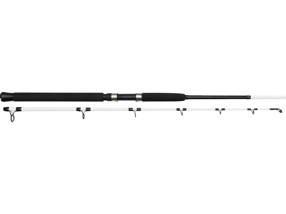 Kinetic Witcher Salt CC 6" 1,80m P8 20-30lbs 100-400g Meeresrute Norwegenangeln Kracherpreis