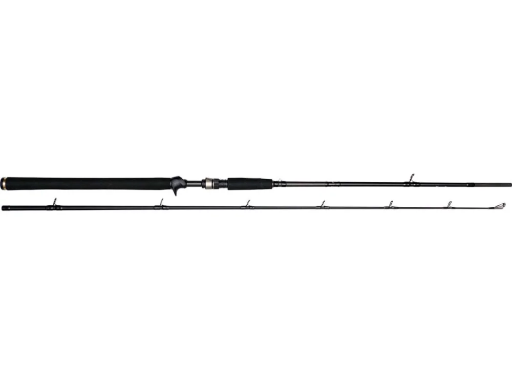 Westin W3 Jerkbait-T 2nd 6'6" / 1,95m H 20-80g 2-teilig Jerkbaitrute Preisreduziert