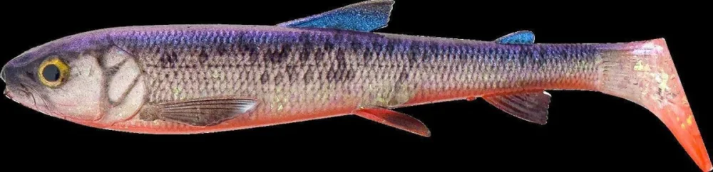 Savage Gear 3D Whitefish Shad 20 cm 62 g Sinking Hot Whitefish Preisreduziert